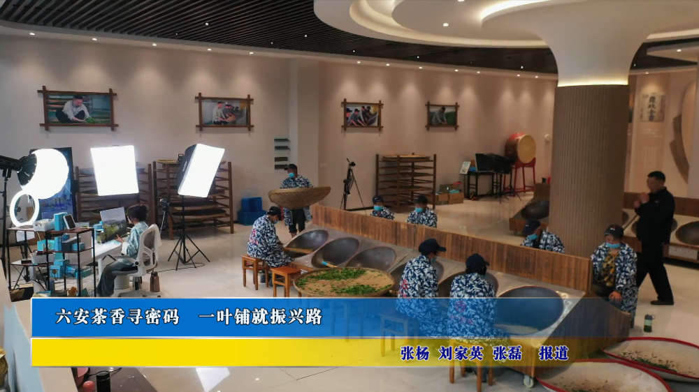 六安茶香寻密码 一叶铺就振兴路
