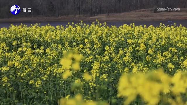 抢抓农时忙春管 科技赋能保丰收