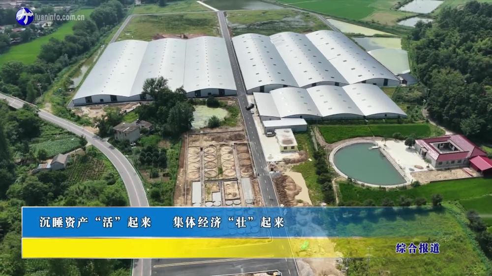 沉睡资产“活”起来 集体经济“壮”起来