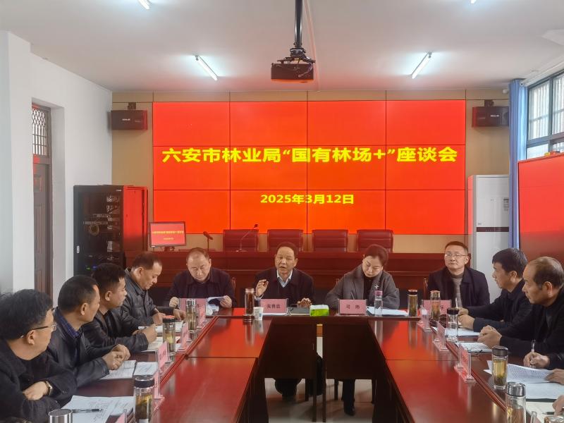 六安市林业局召开“国有林场+”工作座谈会